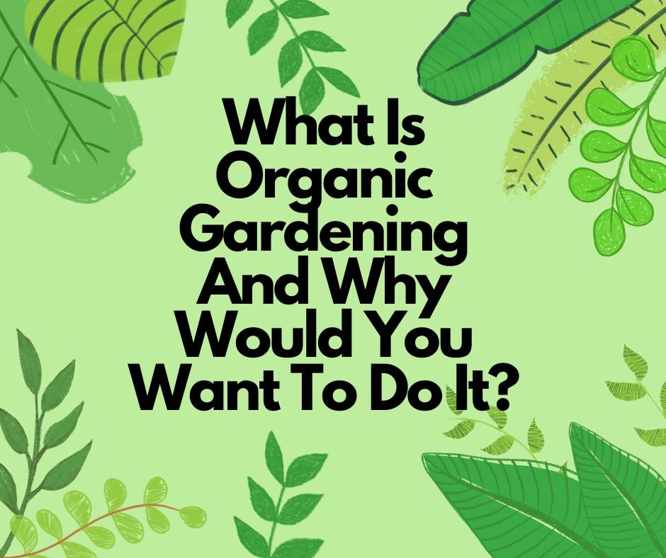 What Is Organic Gardening