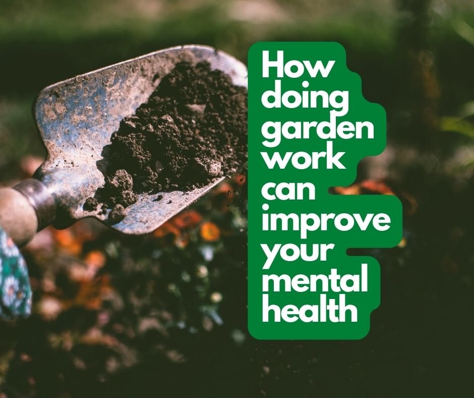 your mental health