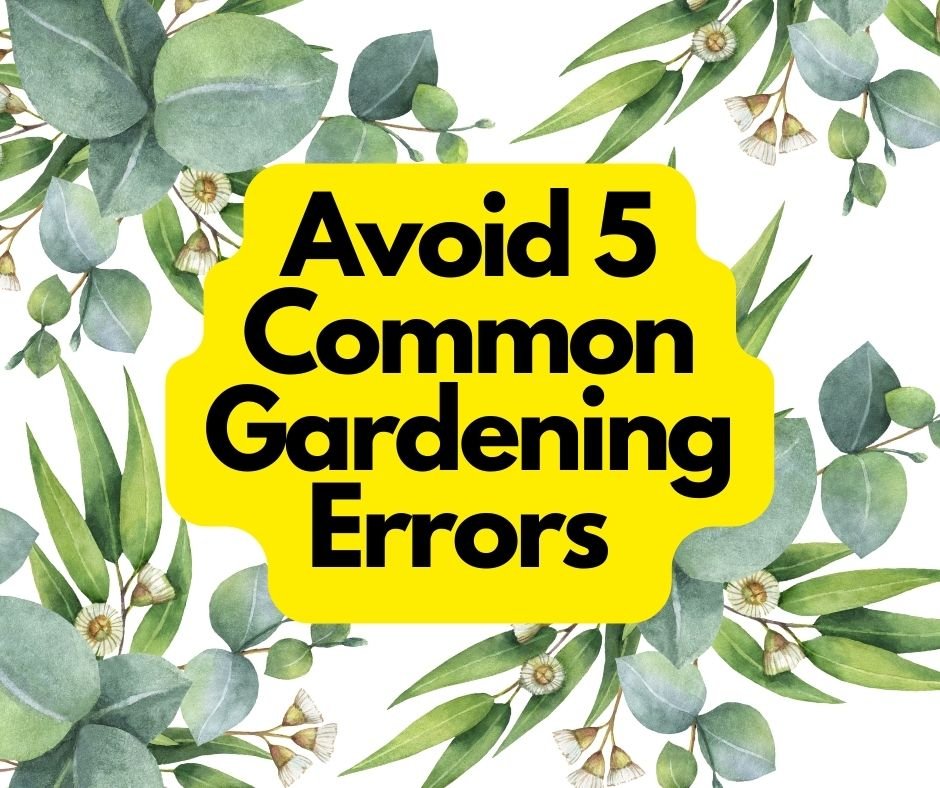 Avoid 5 Common Gardening Errors 