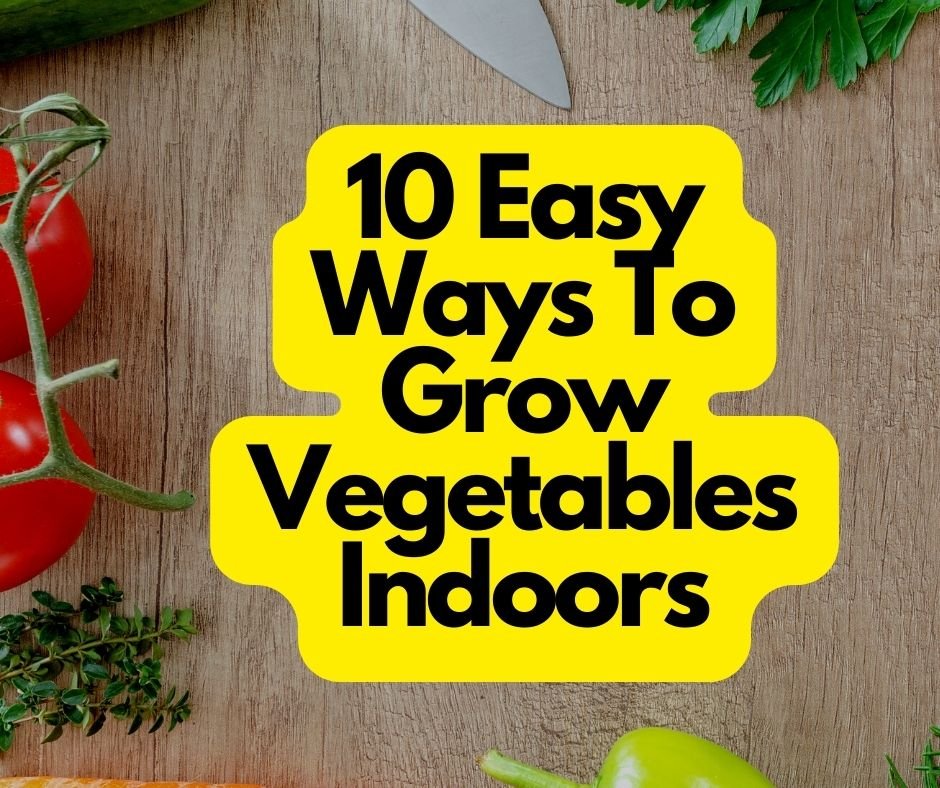 10 Easy Ways To Grow Vegetables Indoors