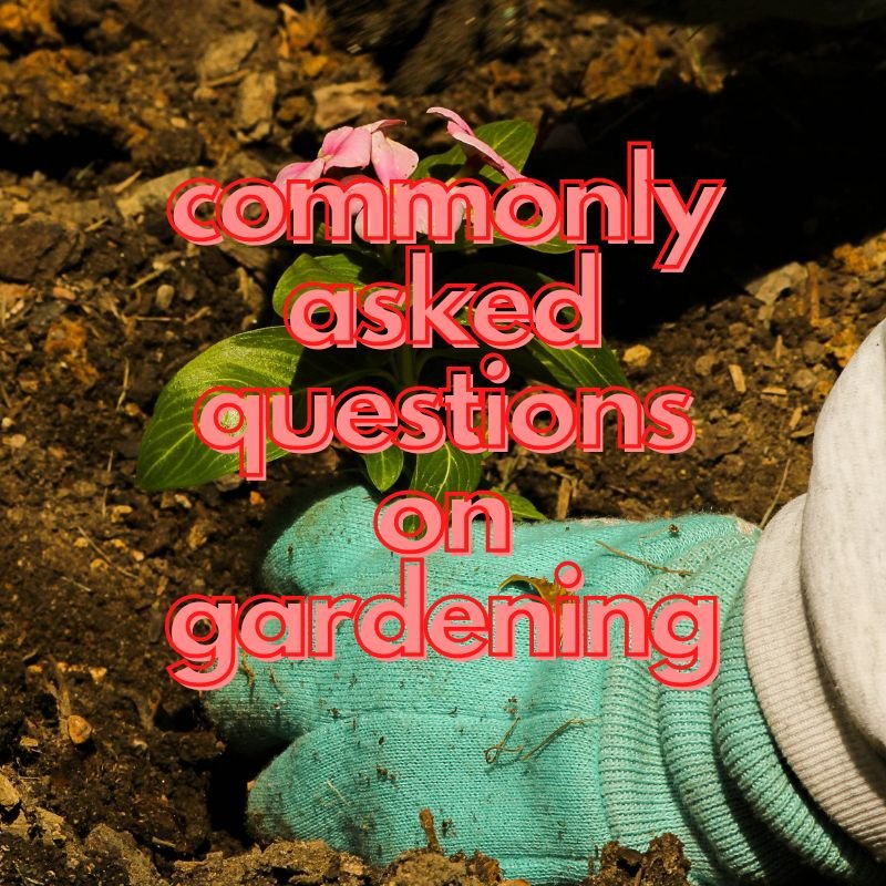 questions on gardening