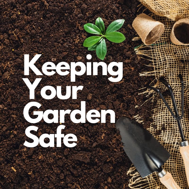 What is the primary purpose of raised beds in gardening?