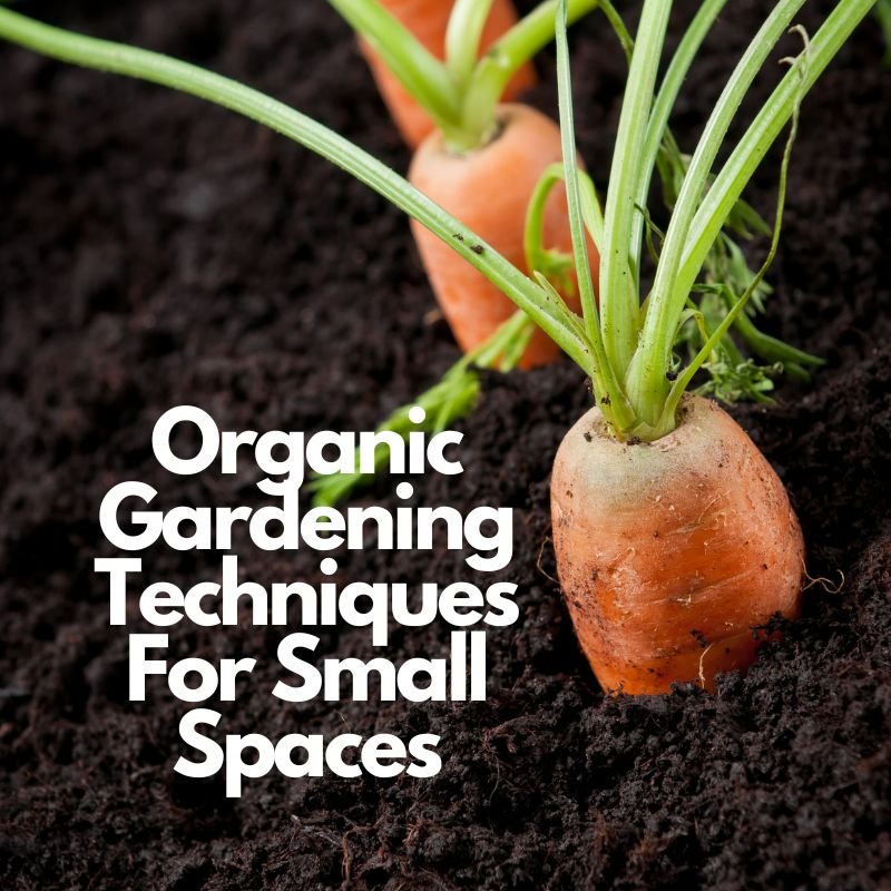 Organic Gardening Techniques