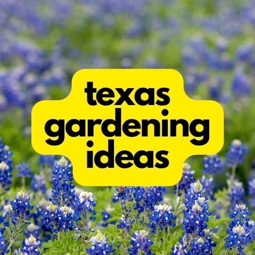 gardening in texas