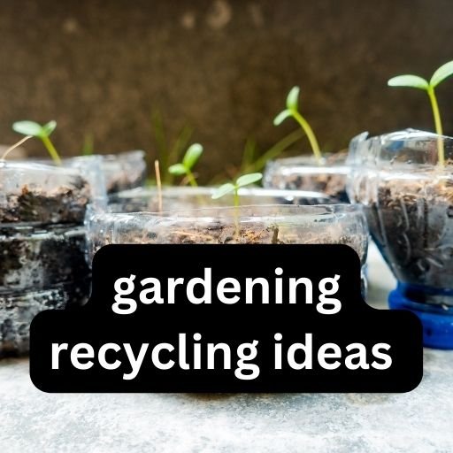 gardening recycling ideas