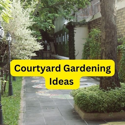 Courtyard Gardening Ideas