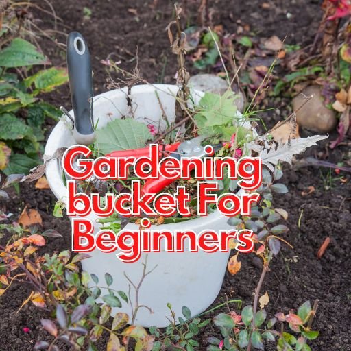 Gardening bucket For Beginners