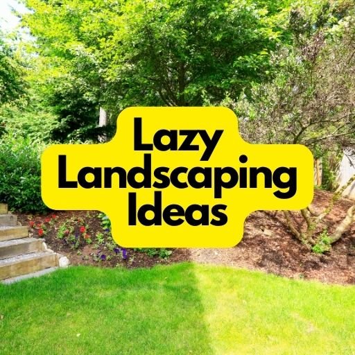 Lazy Landscaping Ideas