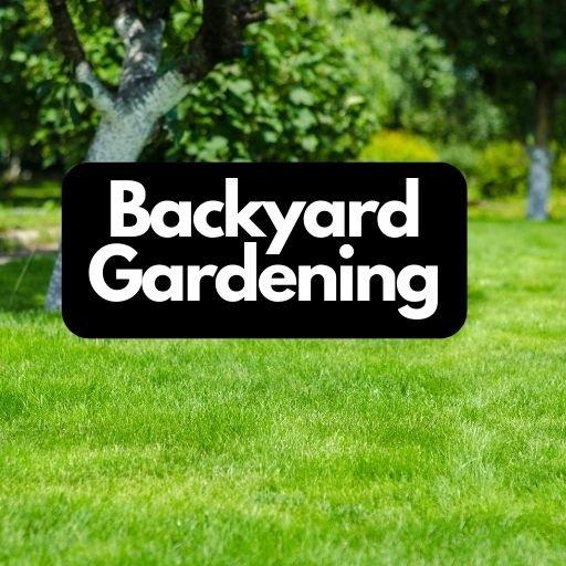 Backyard Vegetable Gardening