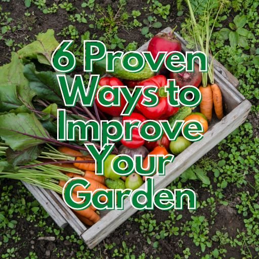 6 Proven Ways to Improve Your Garden
