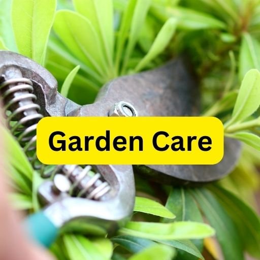 Garden Care