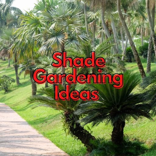 Shade Gardening Ideas
