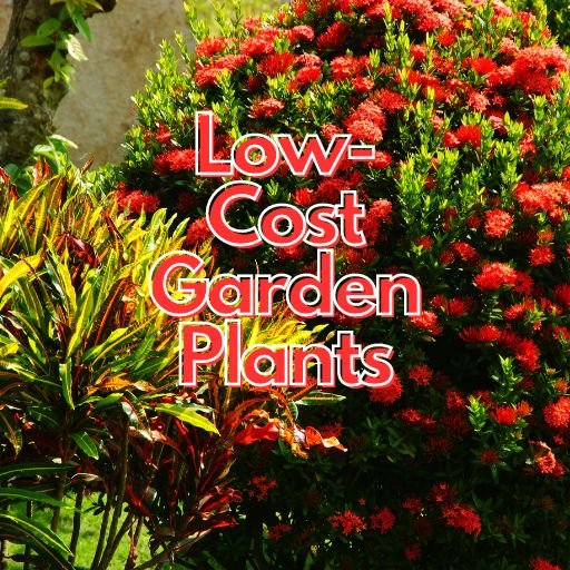 Low-Cost Garden Plants