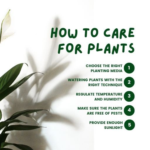 Funny Gardening Memes