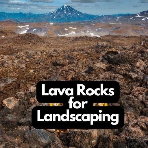 Lava Rocks for Landscaping
