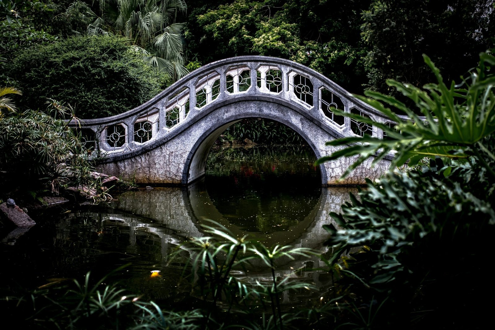 white bridge surrounded by trees