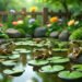 Are Frogs Good for Gardens?