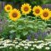 What Flowers Are Good for Eco-Friendly Gardens?