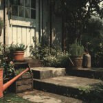 Do and Don'ts of Gardening